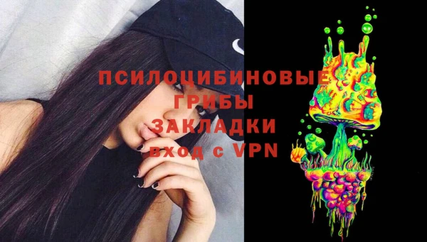 ПСИЛОЦИБИНОВЫЕ ГРИБЫ Аркадак