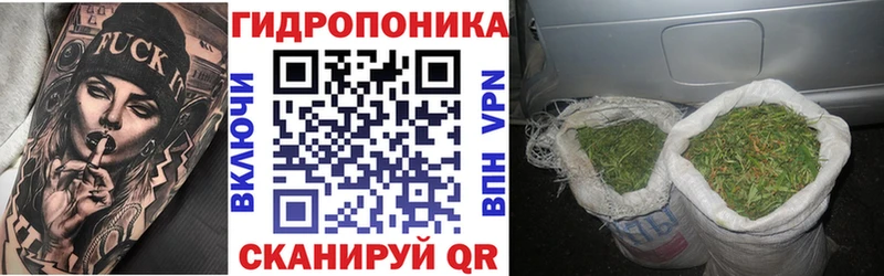ссылка на мегу ссылка  Учалы  Бошки Шишки план 